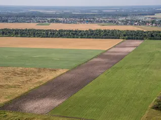 Перезагрузка "Лабинского" – ВТБ планирует создать агрохолдинг