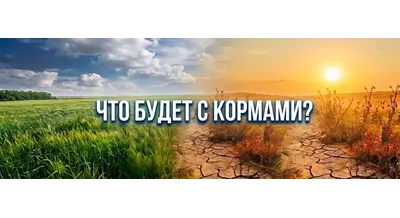 Аномальная весна 2026: почему в этом году счет идет на дни