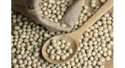 Россия впервые стала нетто-экспортером сои – как так вышло