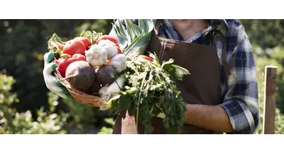 "Работать становится невыносимо": фермеры потребовали экстренно переписать правила игры