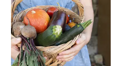 Огород "на удаленке": зачем японские фермеры сдают грядки в аренду