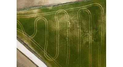 Масштабная инвентаризация: Минсельхоз опишет все сельхозугодия России