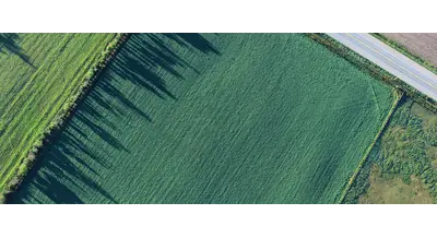 Российские ученые создали ИИ-алгоритм для оценки состояния посевов по спутникам