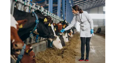 ВНИИЗЖ создаст тесты для раннего выявления двух опасных инфекций у коров