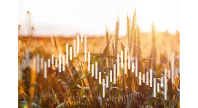 В Госдуме передумали торговать сельхозпродукцией на бирже – законопроект отозван