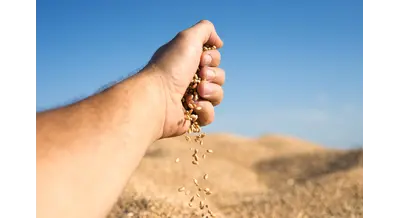 "Татнефть" построит в Воронежской области завод по переработке зерна