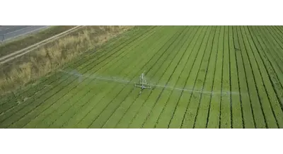 Умное орошение: в Самаре решают важные проблемы региона
