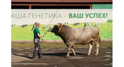 Фестиваль картофеля, "зеленое золото" и "лучшие на селе" – планы Чувашии на 2026 год