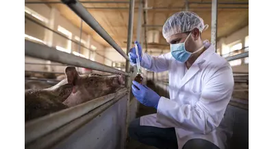 В ЕАЭС усилили контроль за продукцией животноводства – подробности