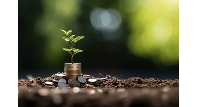 Аграрии Казахстана просят повысить субсидии на семена из-за двукратного роста цен