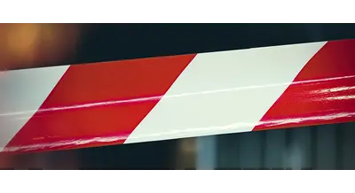 Заграничный сюрприз - Россельхознадзор бьет тревогу из-за 17 новых видов вредителей