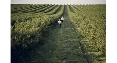 Семьи и производительность – как изменится господдержка красноярских предприятий