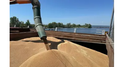 Речной транспорт может взять на себя до 20% перевозок зерна в России