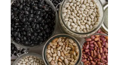 Как микроэлементы влияют на урожай фасоли – исследование смоленских ученых