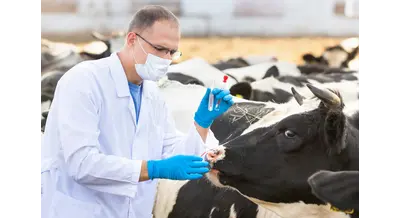 Нижегородские племхозяйства вошли в федеральный проект по геномной селекции