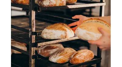 Маленькие да удаленькие – Россия расширяет господдержку фермерских хозяйств