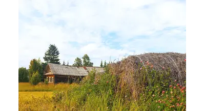 Курские аграрии объединились в ассоциацию для развития туризма – что это значит