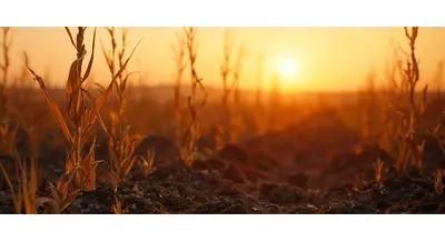 Сгорим или зальет? Стало известно, кому повезет меньше всех этим летом