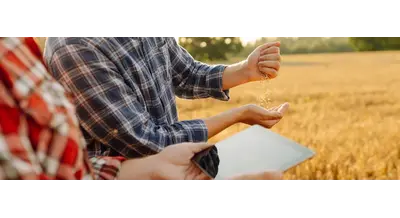 Кредиты под полис: аграриев заставят страховать урожай