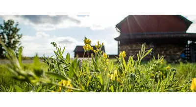 Свежий транш: кому достанутся миллиарды из агробюджета в 2026 году?