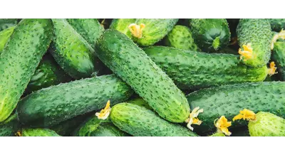 Огурцы рухнули, морковь стрельнула: свежий ценовой удар от Росстата