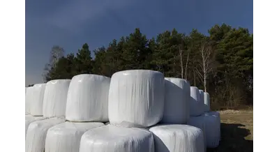 Технология заготовки сенажа: от фазы роста до герметичного хранения