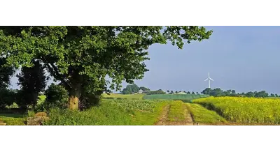 Более 21 тыс. семей на селе получат поддержку от&nbsp; государства - на что можно потратить средства