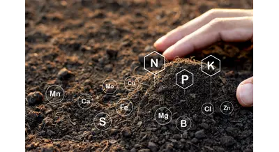Могут ли удобрения замедлить глобальное потепление – научный ответ