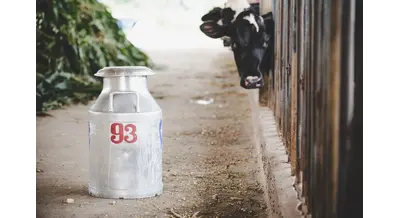 52 млн направят красноярским кооперативам на закупку молока и мяса&nbsp;