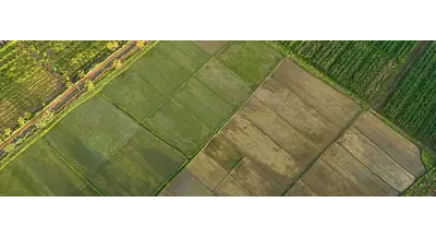 Саратовская область переводит сельхозземли в цифру