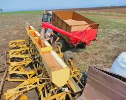 Изображение модельного ряда Загрузчики сеялок ЗСН