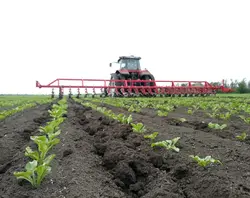 Изображение модельного ряда УСМК