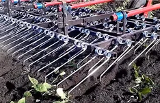  Пружинная борона Akzent 9