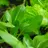 Изображение статьи