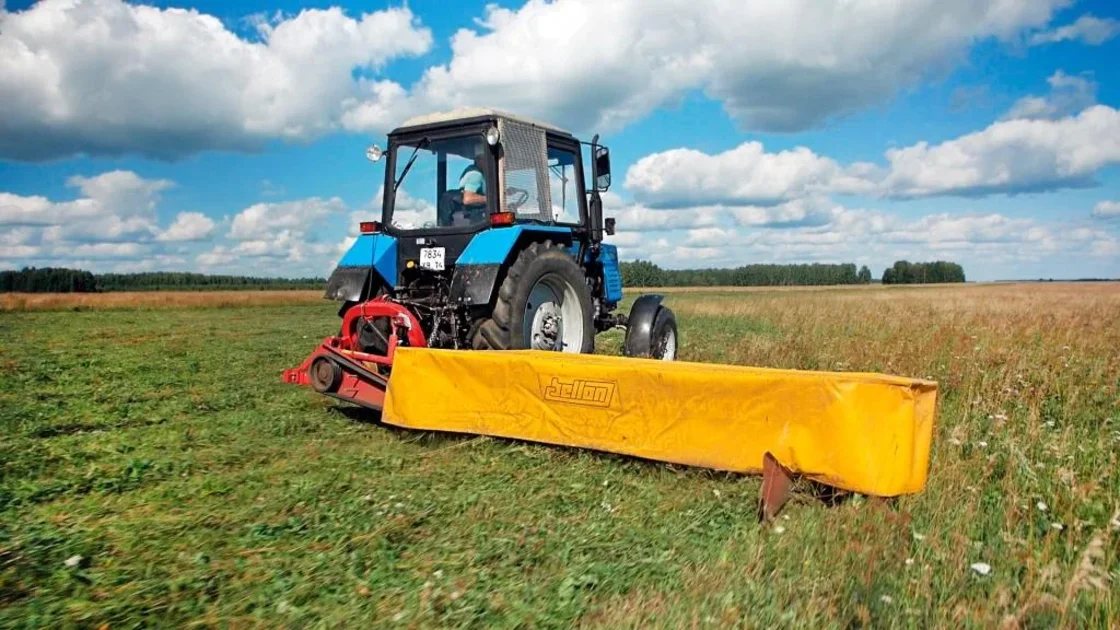 Запчасти на косилку дисковую Bellon D3L, D4L, D5L, D6L, D7L, D8L купить ...