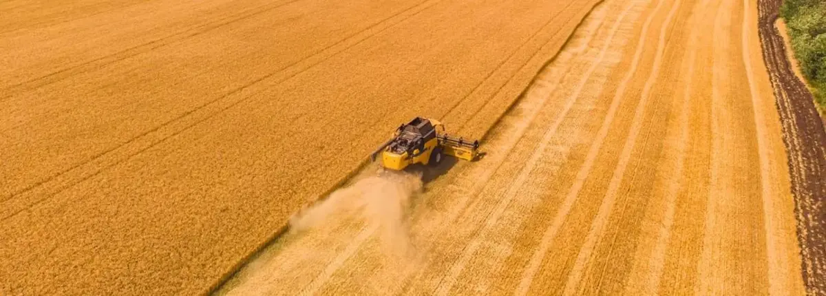 Основное изображение статьи