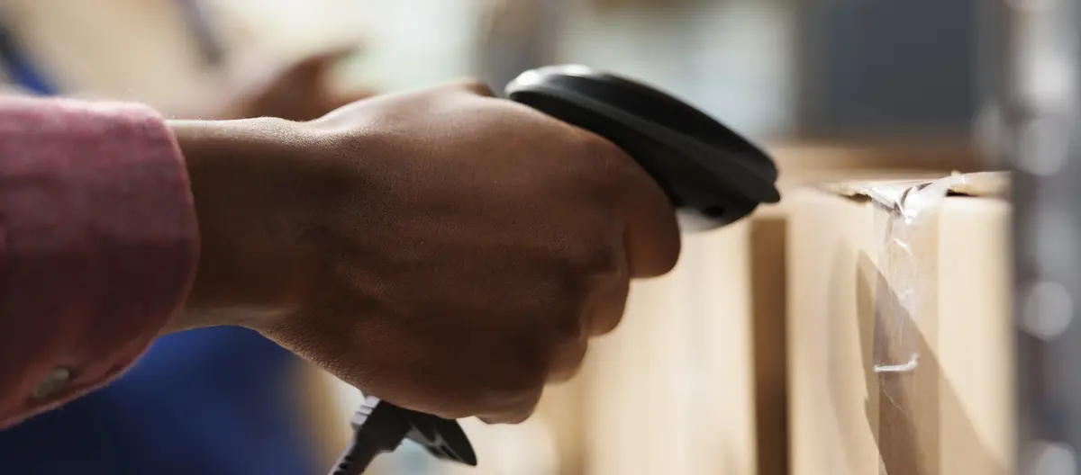 Основное изображение статьи