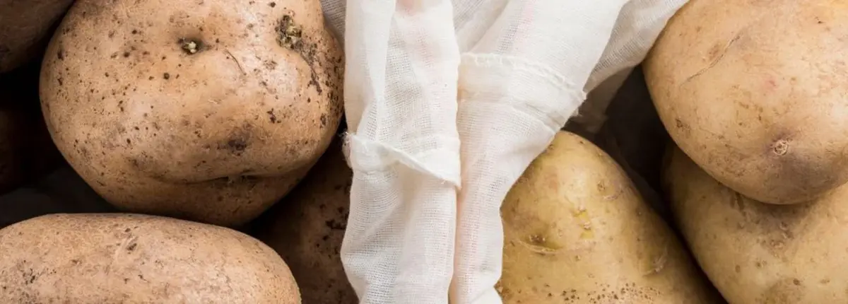 Основное изображение статьи