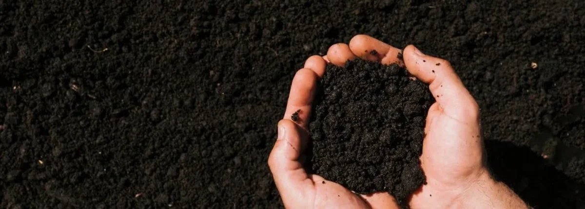 Основное изображение статьи