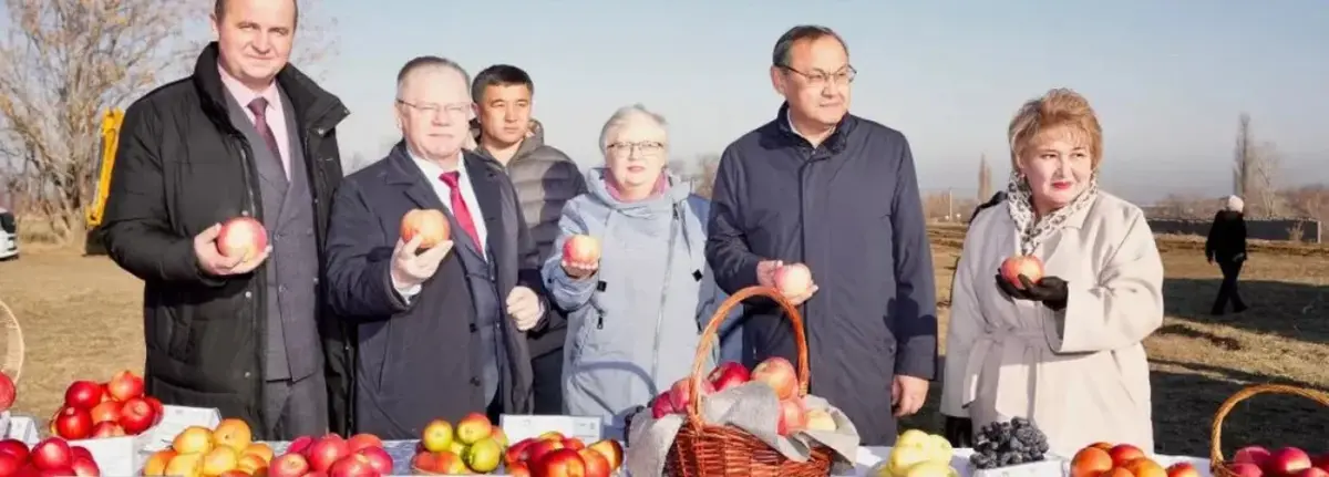 Основное изображение статьи