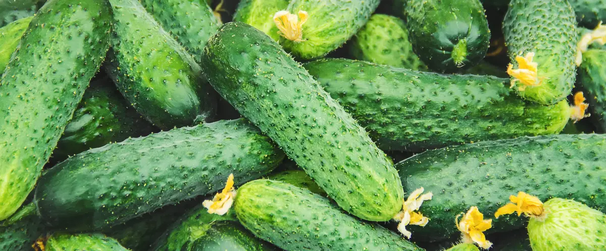 Основное изображение статьи