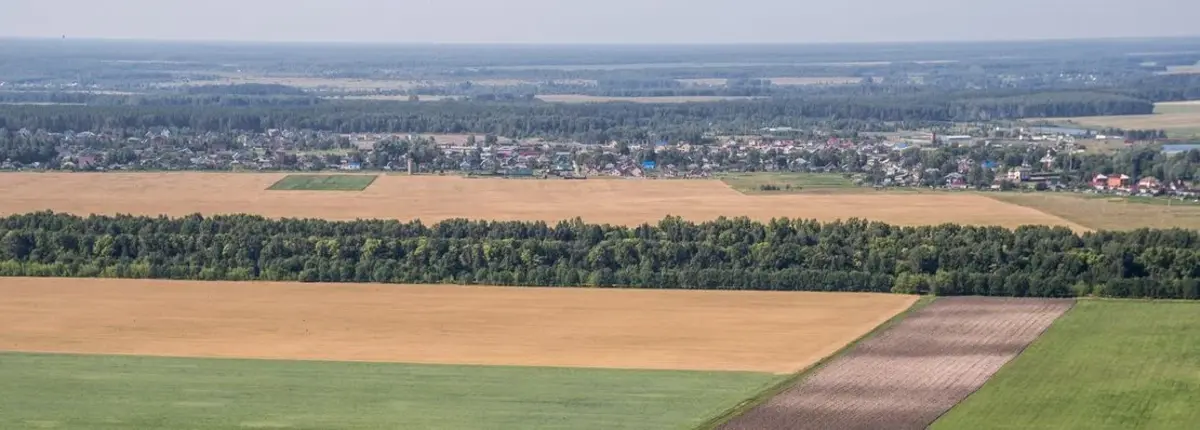 Основное изображение статьи