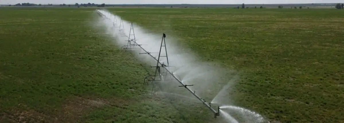 Основное изображение статьи