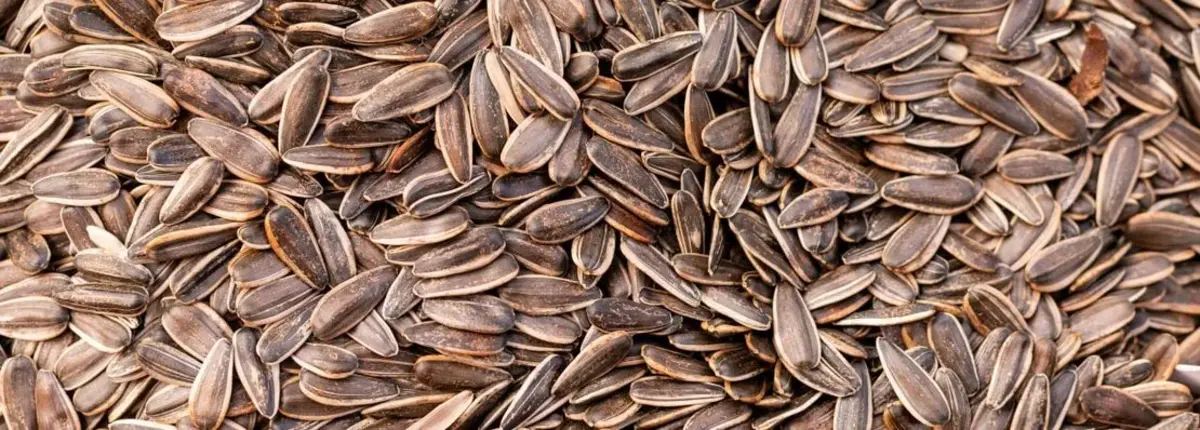 Основное изображение статьи