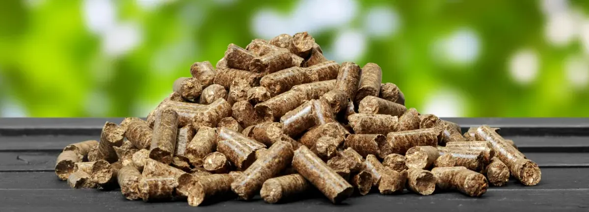 Основное изображение статьи