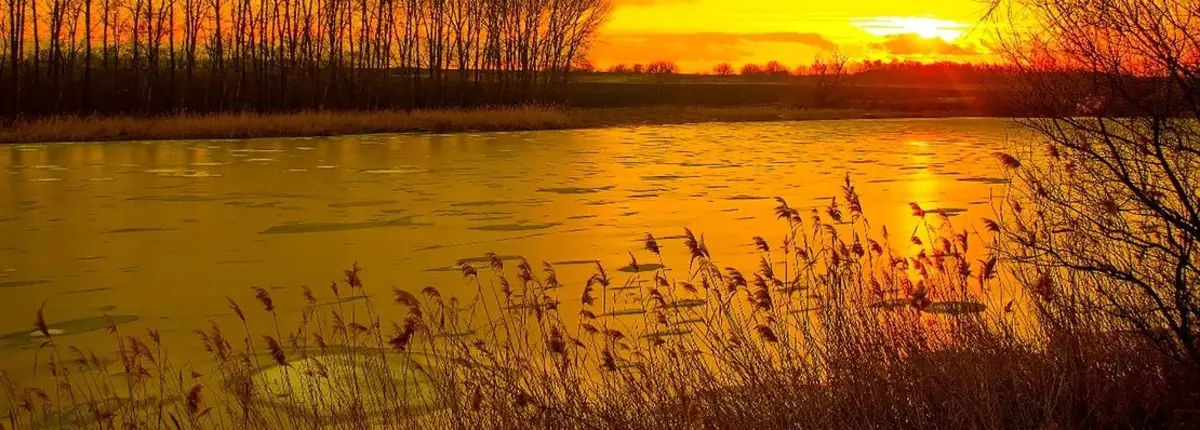 Основное изображение статьи