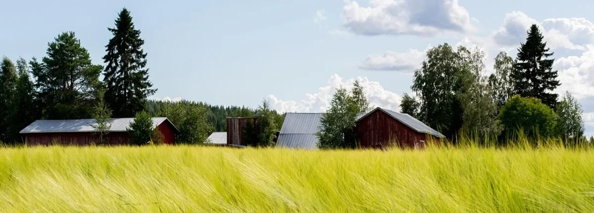 Основное изображение статьи