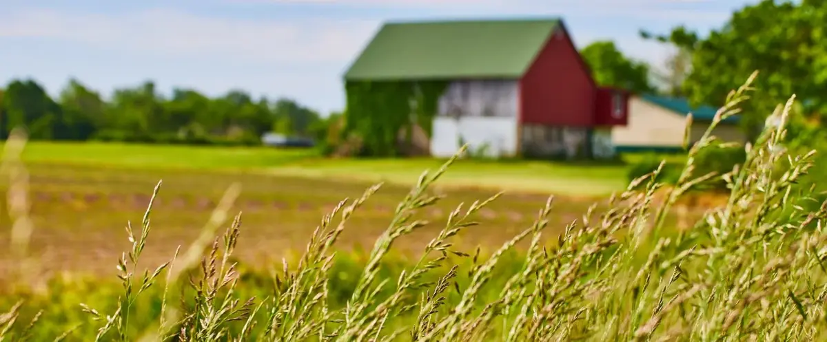 Основное изображение статьи