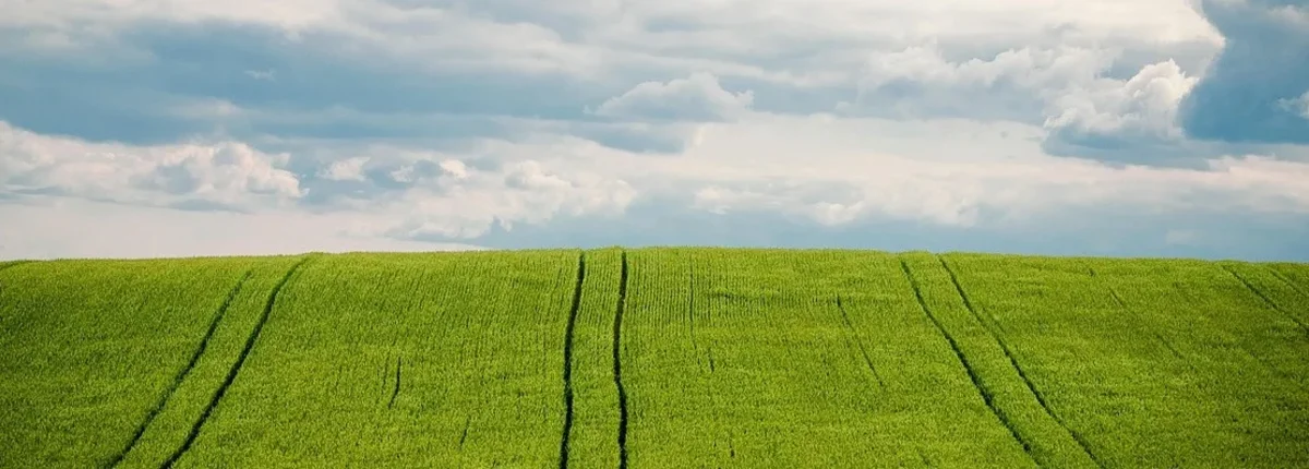 Основное изображение статьи