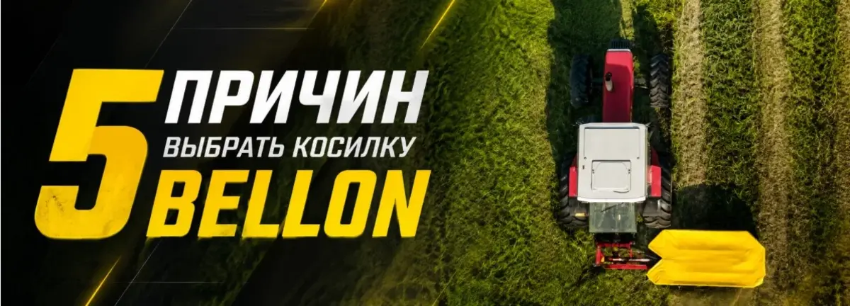Основное изображение статьи
